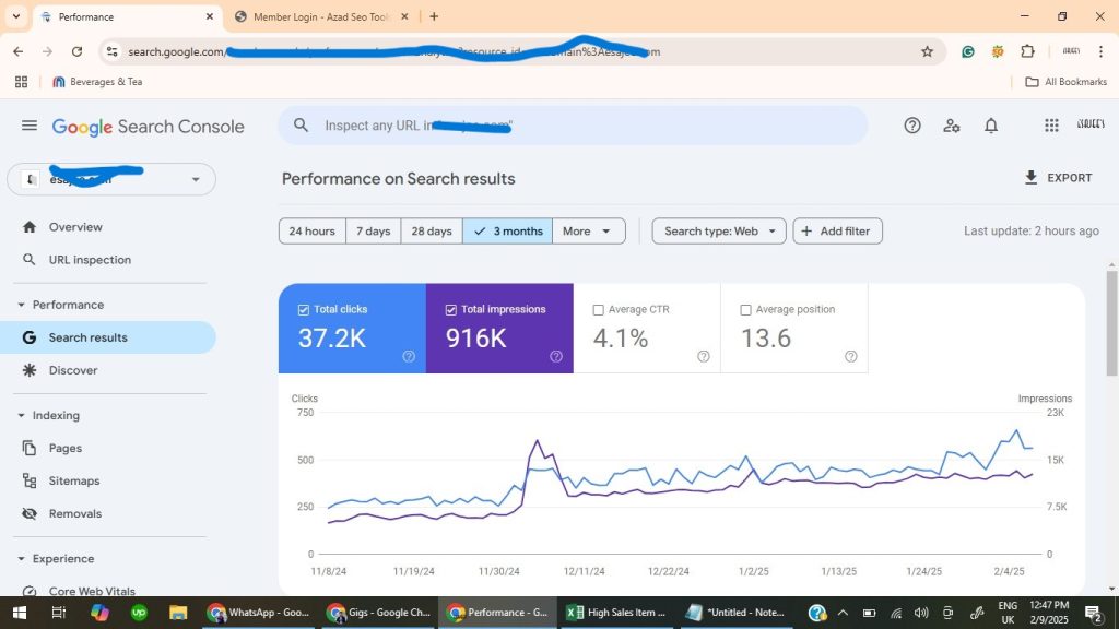 SEO Service Search Engine Optimmization SEO Expert